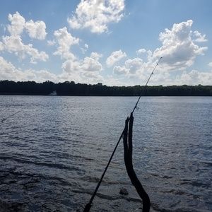 Meet your Posher, Rick